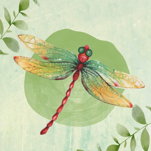 Art Gallery- Dragonfly Print