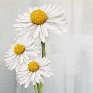 Art Gallery - Daisy Print 