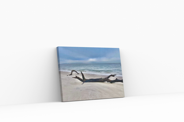 Canvas Wall Art - Black Driftwood 