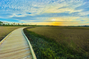 Boardwalk Wall Art Print 