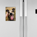 Metal Fridge Magnet 
