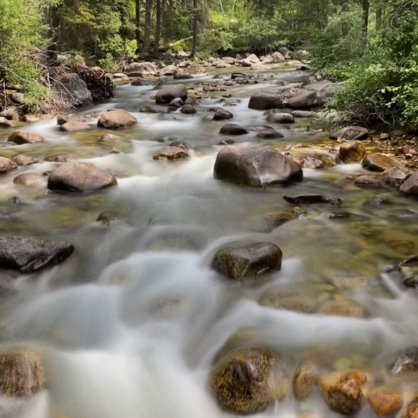 Scenery Wall Art - Montana Stream-4EVER Prints