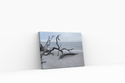 Canvas- Winter Beach Scene