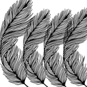 Wall Art - Feathers