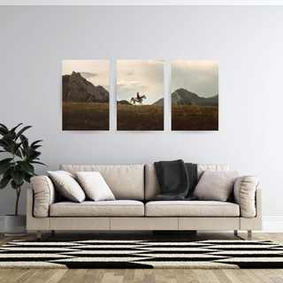 Three piece one image metal wall art 