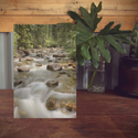 Wood Print - Montana Stream 