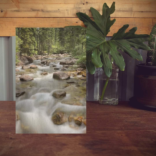 Wood Print - Montana Stream 