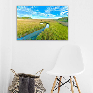 Metal Wall Print - Florida Marsh Scenery