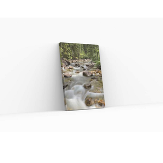 Canvas Print - Montana Stream 