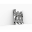 Canvas Print - Feathers