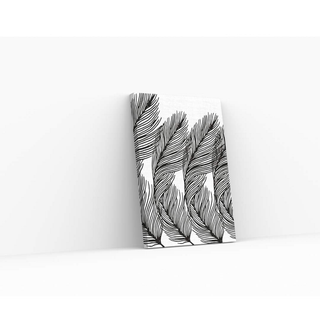 Canvas Print - Feathers