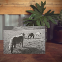 Wood Print - Horse Field Landscape