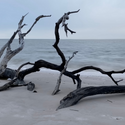 Winter Beach Wall Art
