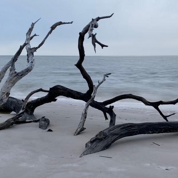 Winter Beach Wall Art