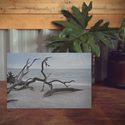 Wood Block - Winter Beach Scenery