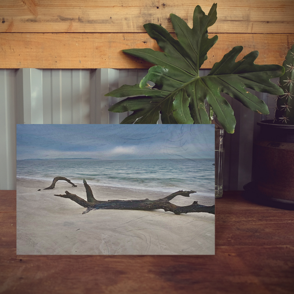 Wood Block - Black Driftwood