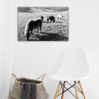 Metal Print Wall Art - Field Scenery 